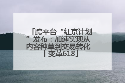 跨平台“红京计划”发布：加速实现从内容种草到交易转化丨变革618